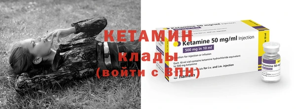 шишки Коряжма