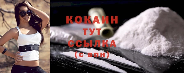 сатива Корсаков