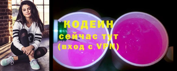сатива Корсаков