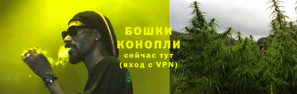 шишки Коряжма