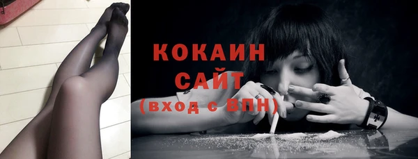 шишки Коряжма