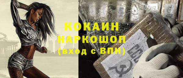 шишки Коряжма
