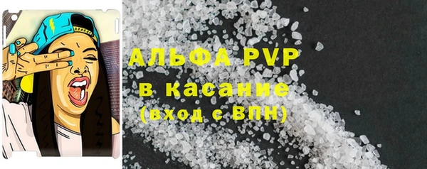 сатива Корсаков