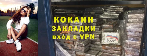 шишки Коряжма