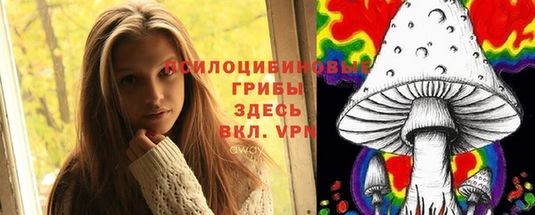 шишки Коряжма