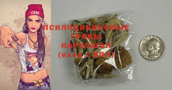 стаф Елизово