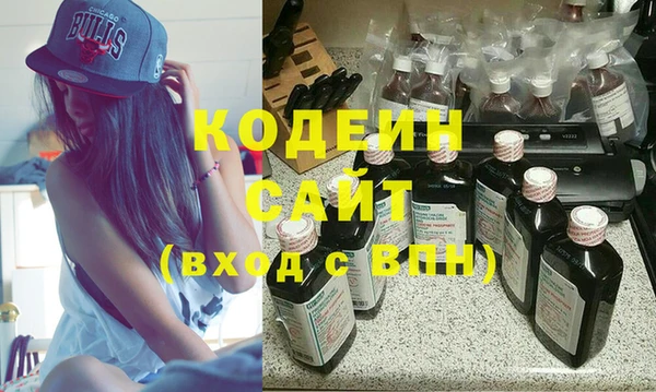 сатива Корсаков