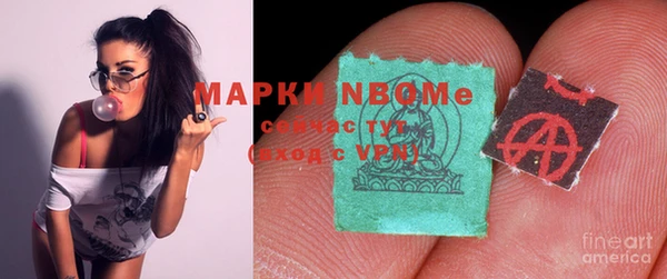 шишки Коряжма