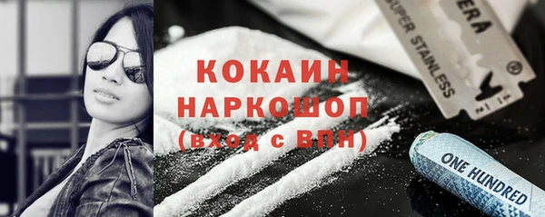 шишки Коряжма