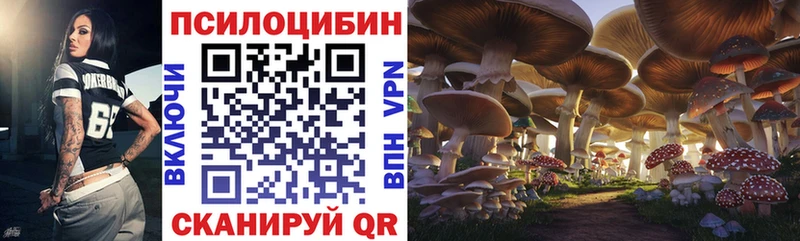 Псилоцибиновые грибы ЛСД  Светлоград 