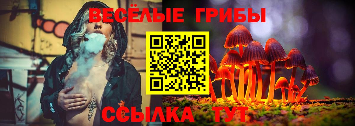 дарнет шоп  Галлюциногенные грибы MAGIC MUSHROOMS  Вход с VPN  Галлюциногенные грибы мицелий  Светлоград 
